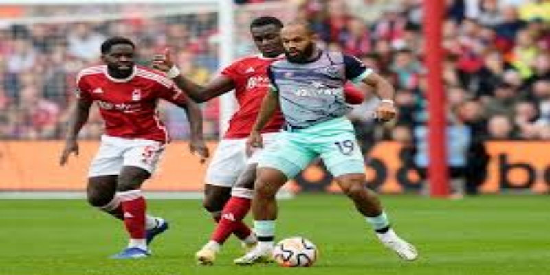  救赎与行业反思：制度如何护航球员-开云体育