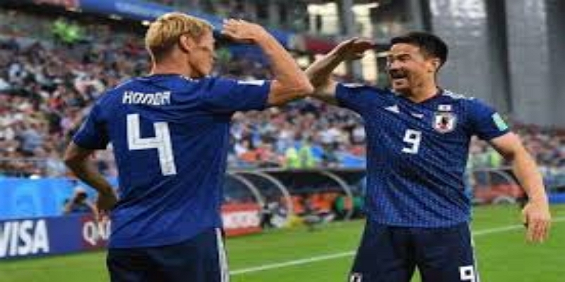 专家观点与历史数据对比- 开云体育