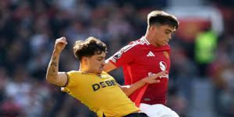 未来裁判改革的方向-开云体育