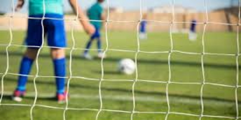 xGOT与门将真实价值-开云体育